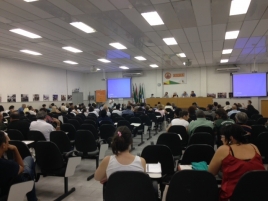 Plenária Regional Sul