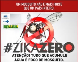 Zika Zero: vamos acabar com o mosquito Aedes