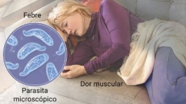 Sintomas da toxoplasmose