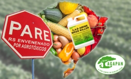 Informativo CES/RS - Foto: AGAPAN - Imagem ilustrativa