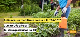 Informativo CES/RS