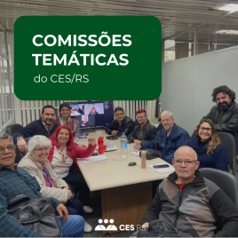 comissões 2025 do conselho estadual de saúde do Rio Grande do Sul