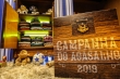 Campanha do Agasalho